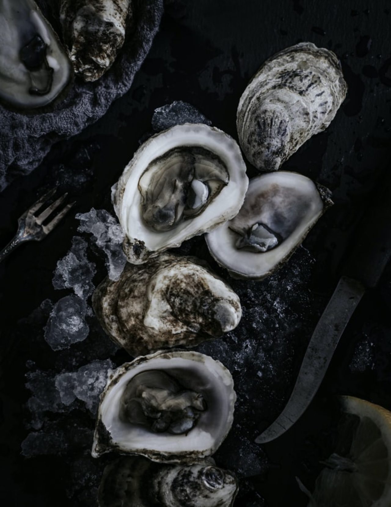 Oysters on a dark background for our Des Moines Hotels Wednesdays Wine & Oysters event