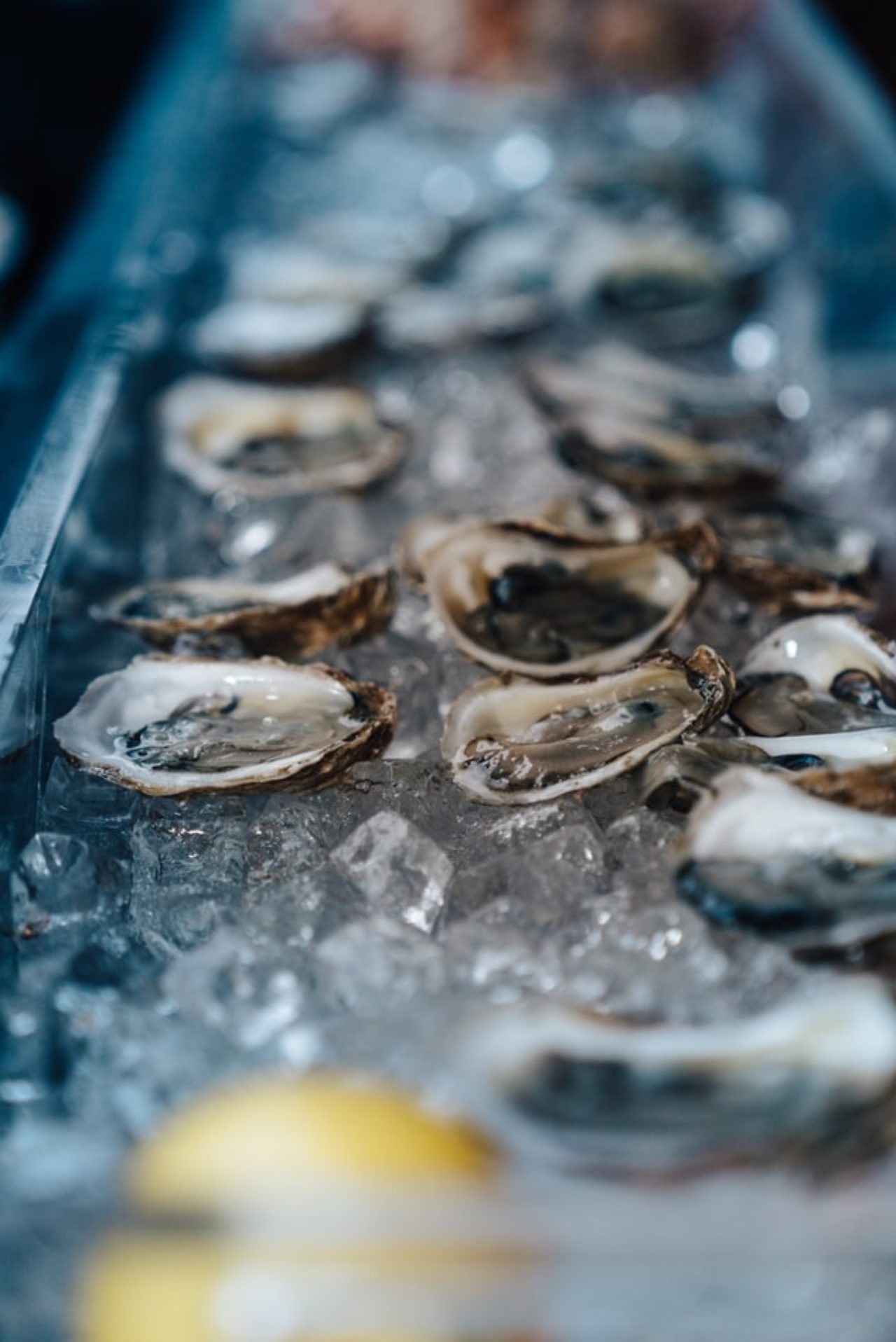 Oysters lined up in a row on ice and a slice of lemon at our Des Moines restaurant