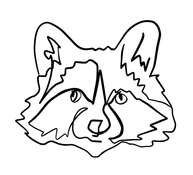 Line art of a raccoon face